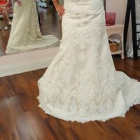 Opininions wanted for wedding dress
