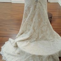 Opininions wanted for wedding dress