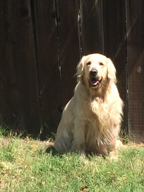 NWR: Puppies and fur babies!