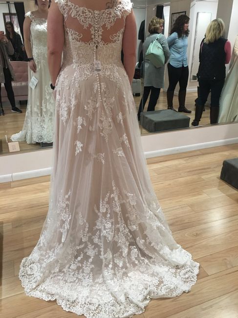My dress came in!! - 2