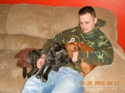 NWR: Furry Friends