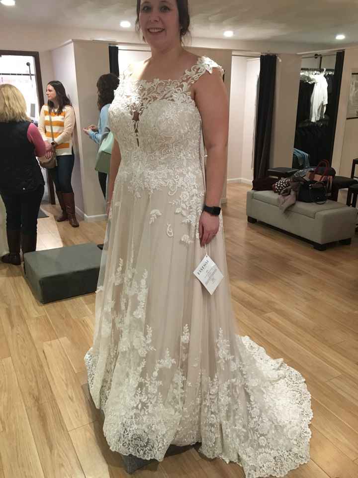 My dress came in!! - 1