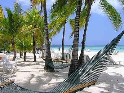 Show me your HONEYMOON!!!