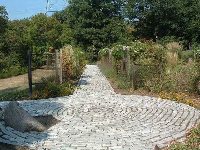 Help!  I need some advice on our picture location!