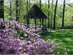 Help!  I need some advice on our picture location!