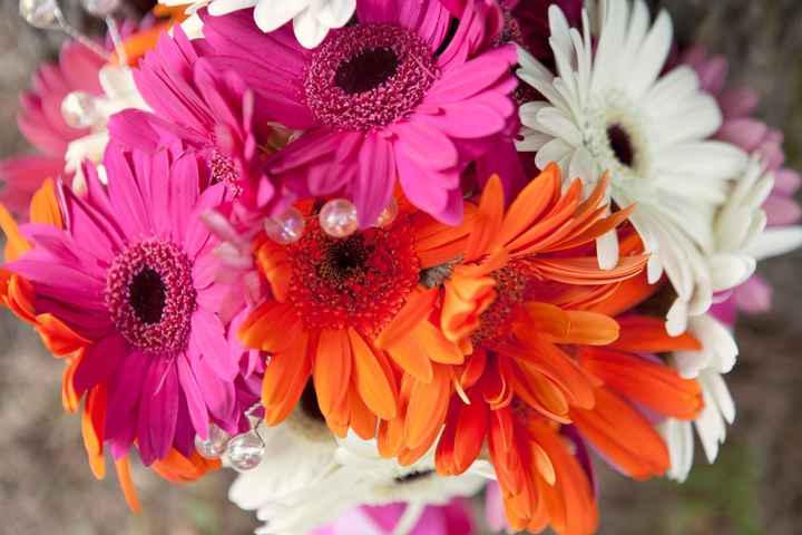 My pro pics are here!  My pro pics are here! [Very Pic Heavy]