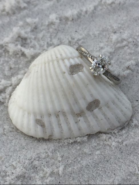 Was your proposal caught on camera? Share your proposal pic! - 2