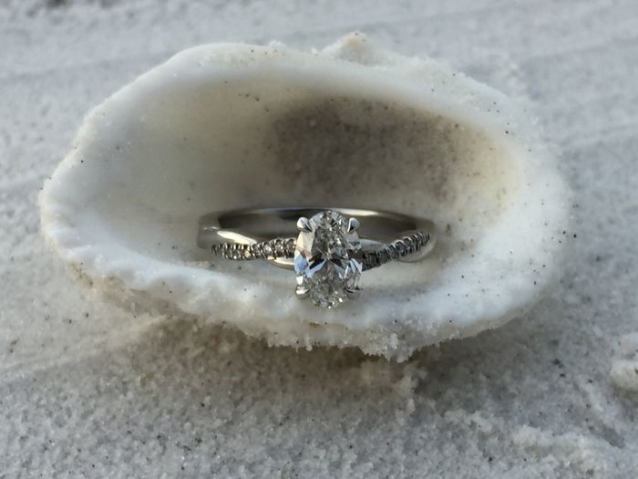 Was your proposal caught on camera? Share your proposal pic! - 4