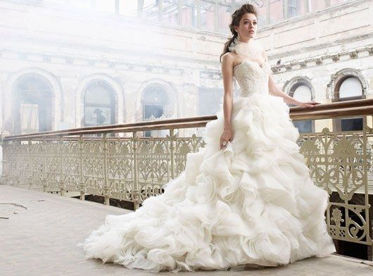 Ladies, what dress did you wish you could have tried on but didn't or couldn't get the chance to?