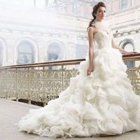 Ladies, what dress did you wish you could have tried on but didn't or couldn't get the chance to?