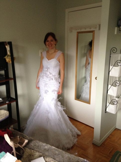 Final Dress Fitting and Hair Trial...Pics :)