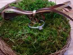 Alternative to a ring bearer pillow???