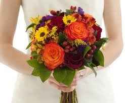 What do they look like....???