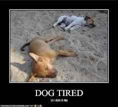 This is how I feel about wedding planning....