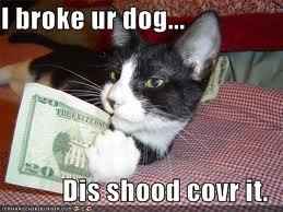 Mrs S ... We need to start another funny Cat thread!