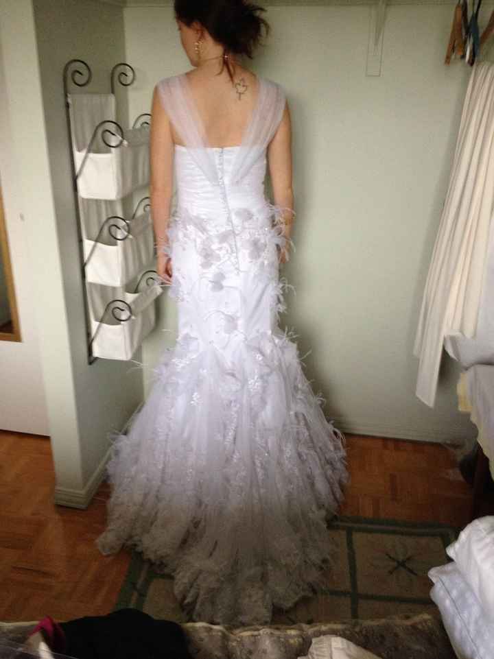 Final Dress Fitting and Hair Trial...Pics :)