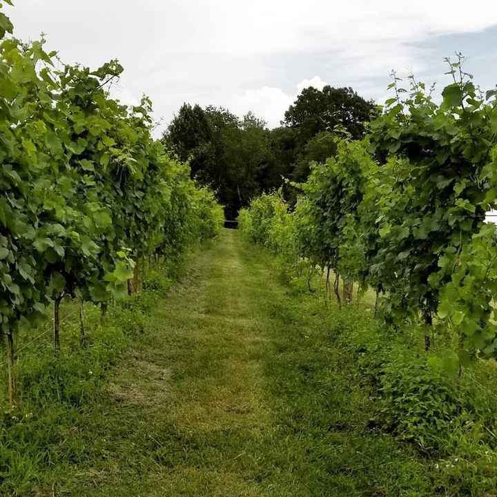 BAB: AMAZING Wine Weekend Away! (Pic Heavy)