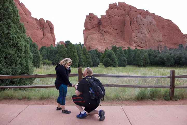 How was your proposal?