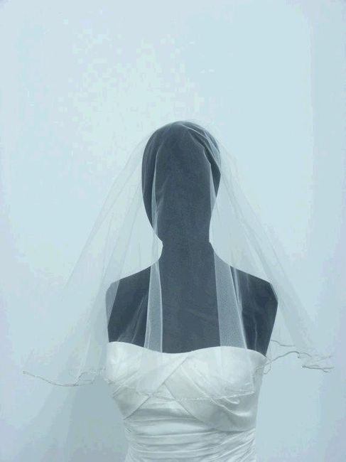 Fascinator with Veil what do you ladies think? (Pic)