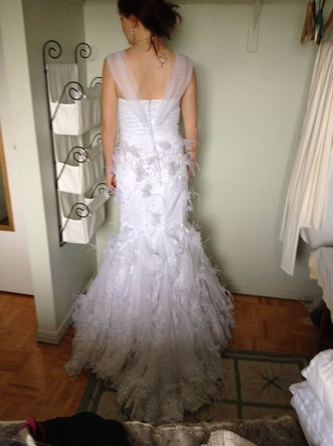 Final Dress Fitting and Hair Trial...Pics :)