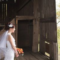 to veil or not to veil? which veil?