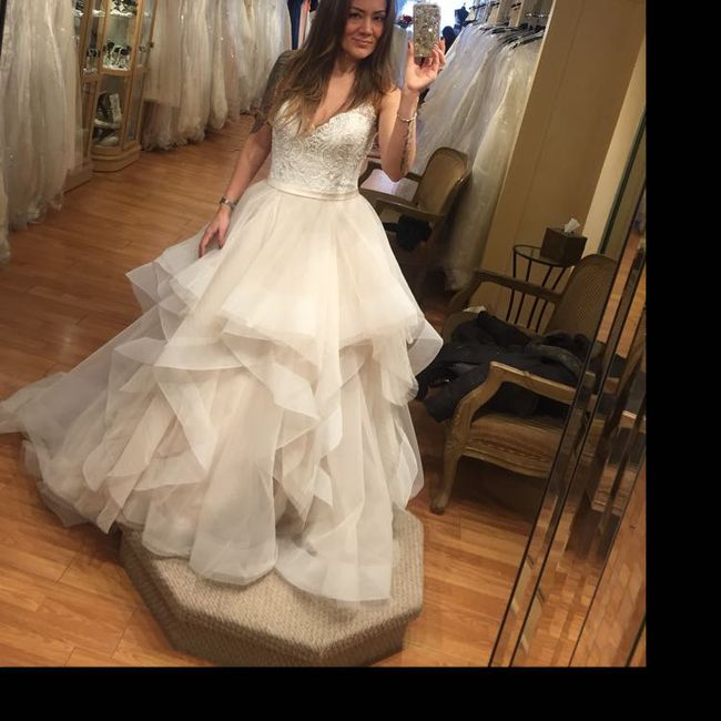 The dress - 1
