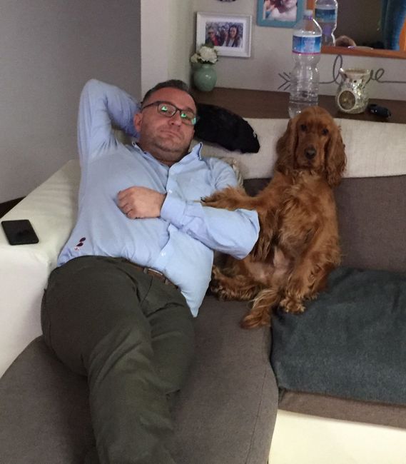 Any pet related stories? - 1