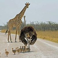 I'd like to introduce you to my family