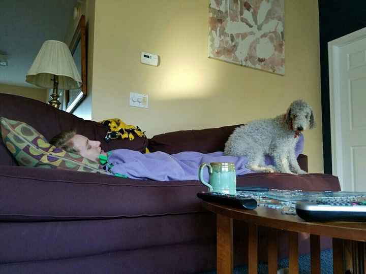 NWR- let me see your fur babies, awake and scared