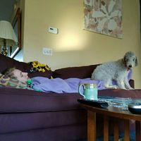 NWR- let me see your fur babies, awake and scared