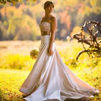 Help! Need to find the dress in this picture!
