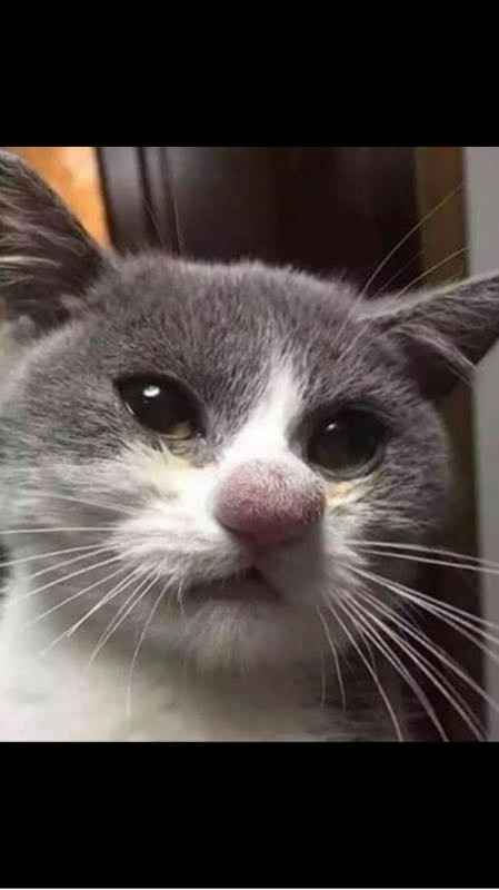 NWR: Need Distractions