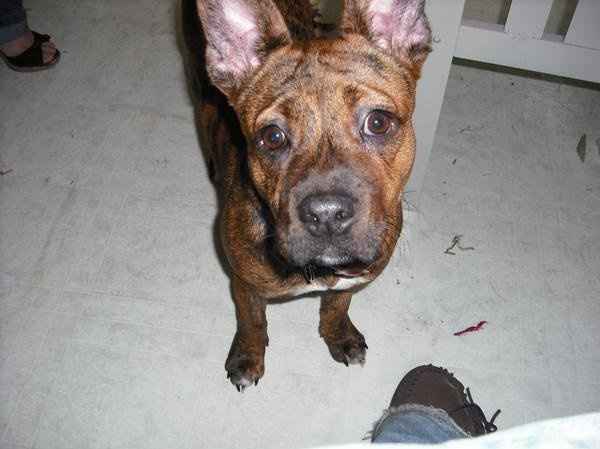 We've seen your rings, your dresses, your jewels.... show me your