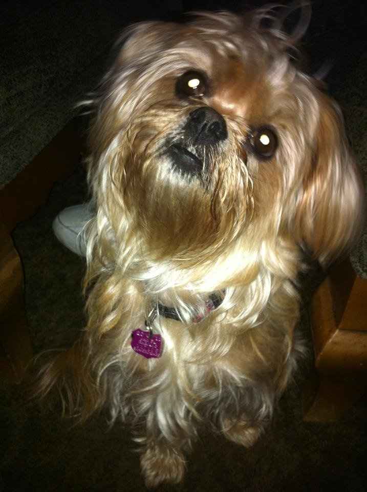 We've seen your rings, your dresses, your jewels.... show me your