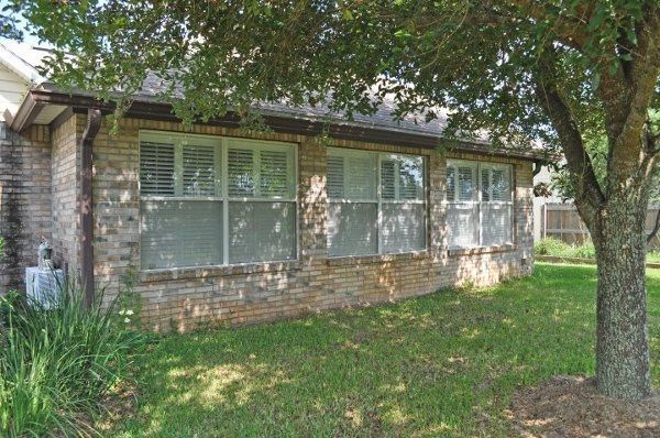 Decor for the trees???