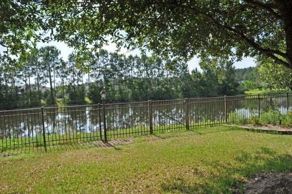 Decor for the trees???