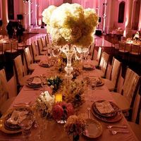 Centerpiece Costs skyrocketing...PLEASE HELP!!