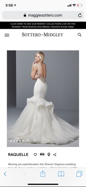 Said Yes to My Dress 1