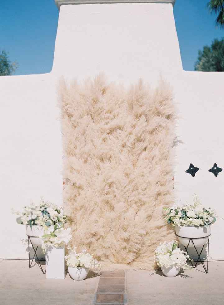 pampas grass backdrop