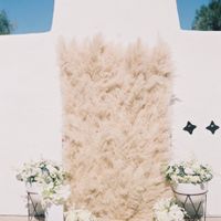 pampas grass backdrop