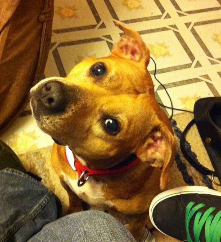 Just for fun, lets see your crazy pet child....