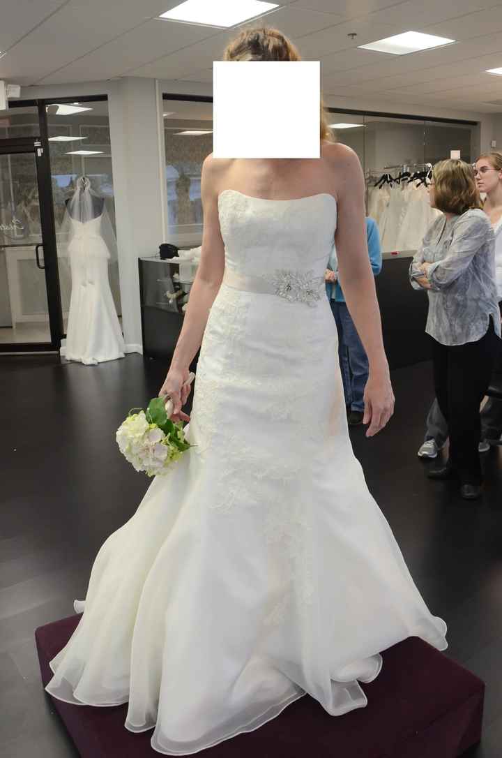 Help - Sash or no sash?