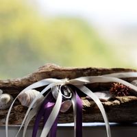 Alternatives to Ring Bearer pillow?