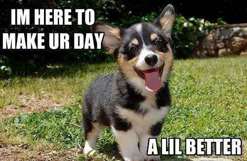 What's with all the rude people today? *Beware: Cute picture inside*