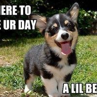 What's with all the rude people today? *Beware: Cute picture inside*