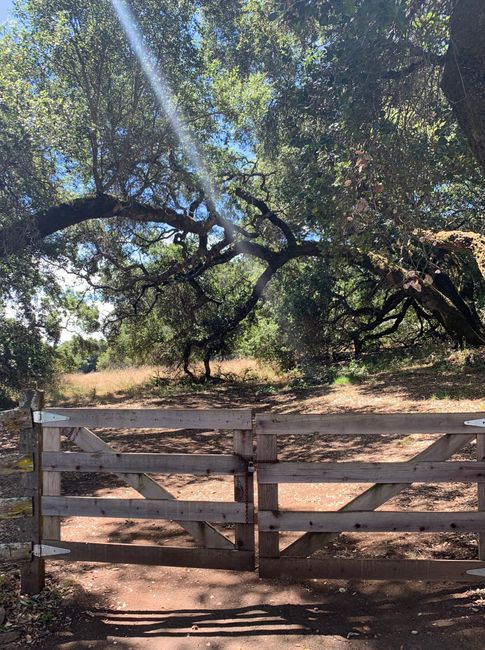 Asile runner on dirt? 1