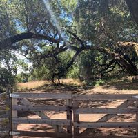 Asile runner on dirt? - 1