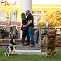 Are you including your pet in your engagement pictures? - 1