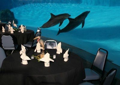 Alternative Ceremony/Reception Ideas