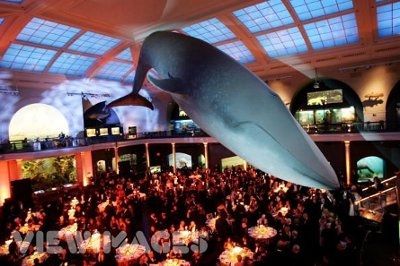 Alternative Ceremony/Reception Ideas